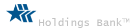 Velos Holdings